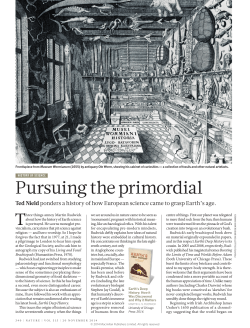 Pursuing the primordial