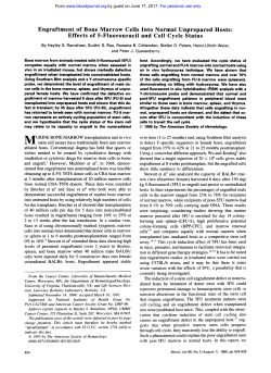 Engraftment of Bone Marrow Cells Into Normal Unprepared Hosts