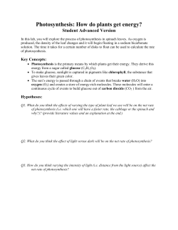 Photosynthesis: How do plants get energy? Student Advanced Version