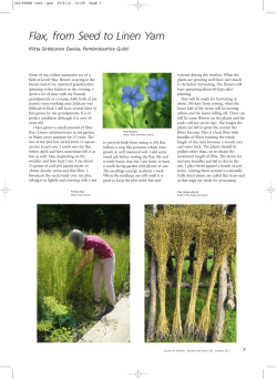 Flax from Seed to Linen Yarn - The Journal for Weavers, Spinners