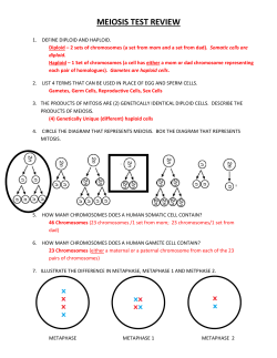 meiosis test review