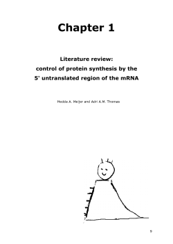 Chapter 1: Literature review
