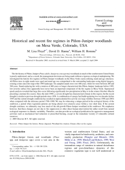 Historical and recent fire regimes in Pin&tilde;on&ndash;Juniper