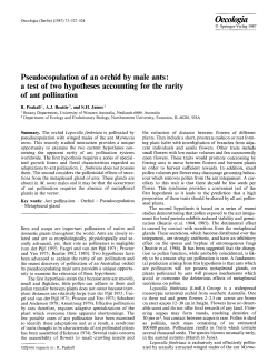 Pseudocopulation of an orchid by male ants: a test of two