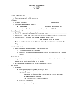 Mitosis and Meiosis Outline July 11, 2013 7th Grade o Reasons that