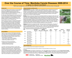 Over the Course of Time: Manitoba Canola