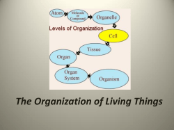 The Organization of Living Things