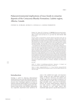Palaeoenvironmental implications of trace fossils in estuarine