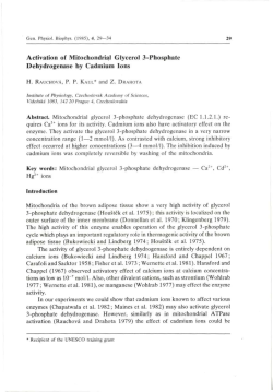 Activation of Mitochondrial Glycerol 3
