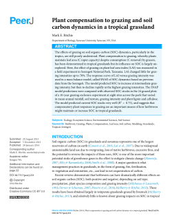 Plant compensation to grazing and soil carbon dynamics in