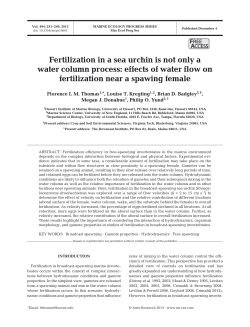 Fertilization in a sea urchin is not only a water column process