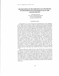 in the amazon region - University of Michigan