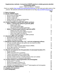 CRISPR mutagenesis 3.1 - Department of Molecular Genetics