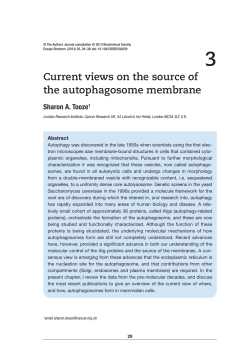 3 Current views on the source of the autophagosome membrane