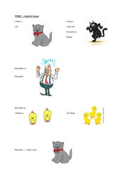 TENGO - a Spanish lesson I have a I have a Cat. crazy cat. His