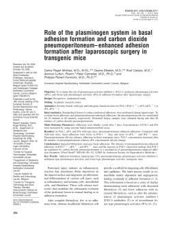 Role of the plasminogen system in basal adhesion formation and