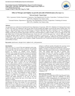 78 Effect of Nitrogen and Sulphur on growth and yield of Hybrid