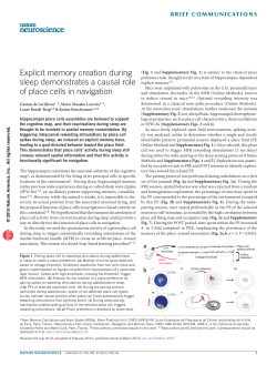 Explicit memory creation during sleep demonstrates