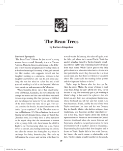 The Bean Trees