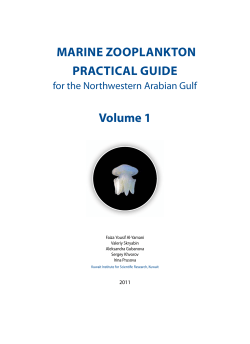 - Kuwait Institute for Scientific Research