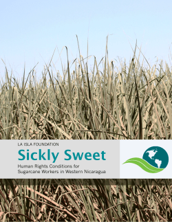 Sickly Sweet - La Isla Foundation