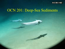 OCN 201: Deep Sea Sediments