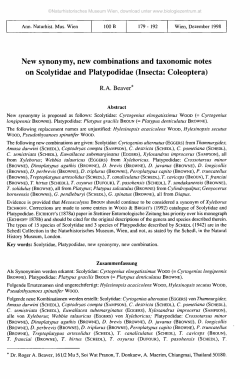 New synonymy, new combinations and taxonomic notes