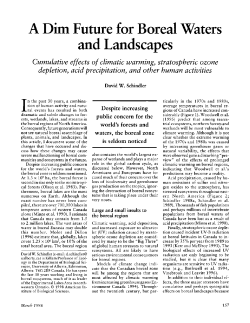 A Dim Future for Boreal Waters and Landscapes