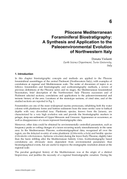Pliocene Mediterranean Foraminiferal Biostratigraphy
