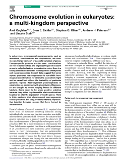 Chromosome evolution in eukaryotes: a multi