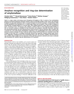 Amylose recognition and ring-size determination of amylomaltase