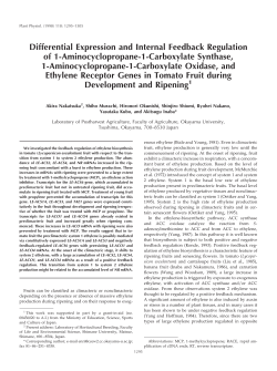 Differential Expression and Internal Feedback Regulation of 1