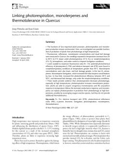 Linking photorespiration, monoterpenes and thermotolerance in