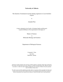 The function of nonmuscle myosins during oogenesis in