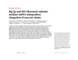 Rqc2p and 60S ribosomal subunits mediate mRNA