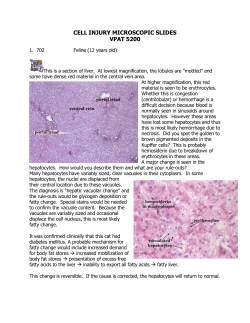 CELL INJURY MICROSCOPIC SLIDES VPAT 5200