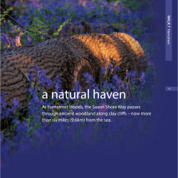 a natural haven - Amazon Web Services