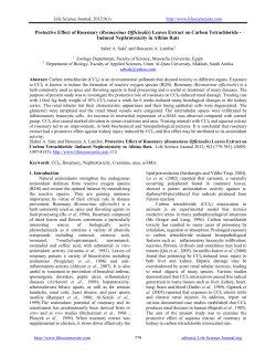 Protective Effect of Rosemary (Rosmarinus Officinalis) Leaves