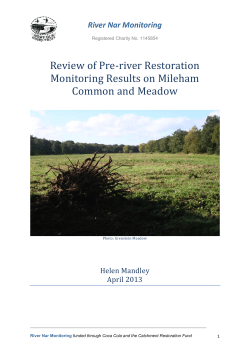 Review of Pre-river Restoration Monitoring Results on Mileham