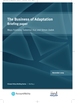 The Business of Adaptation