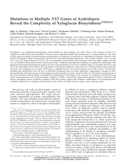 Mutations in Multiple XXT Genes of Arabidopsis