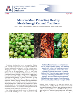 Mexican Mole: Promoting Healthy Meals through Cultural Traditions