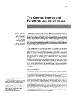 The Cervical Nerves and Foramina