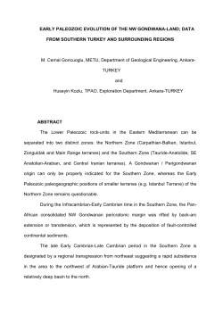 EARLY PALEOZOIC EVOLUTION OF THE NW GONDWANA