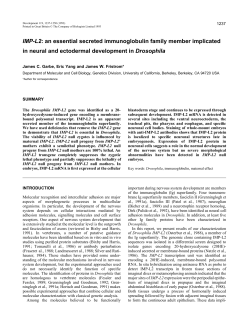 IMP-L2: an essential secreted immunoglobulin family