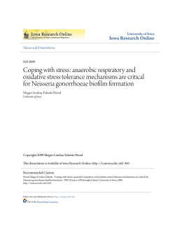Coping with stress: anaerobic respiratory and oxidative stress