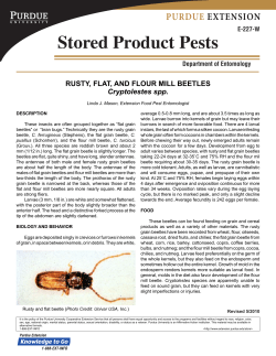 Stored Product Pests E-227-W