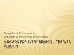A Saison for Every Season
