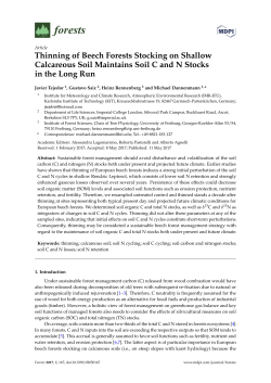 Thinning of Beech Forests Stocking on Shallow Calcareous Soil