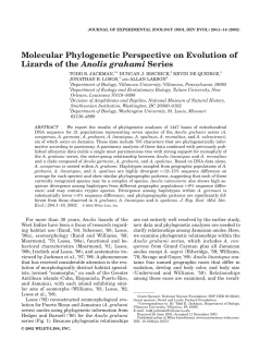 Molecular Phylogenetic Perspective on Evolution of Lizards of the